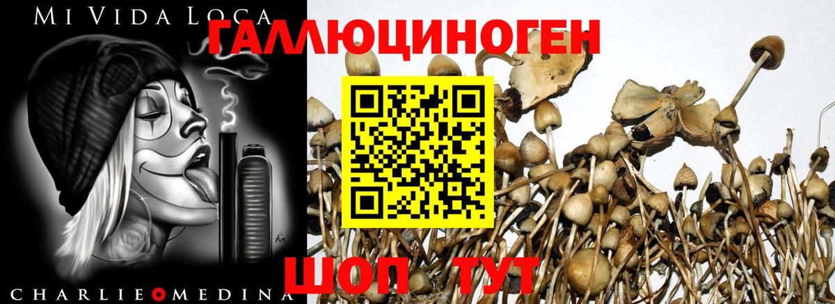 Псилоцибиновые грибы Magic Shrooms Ялта