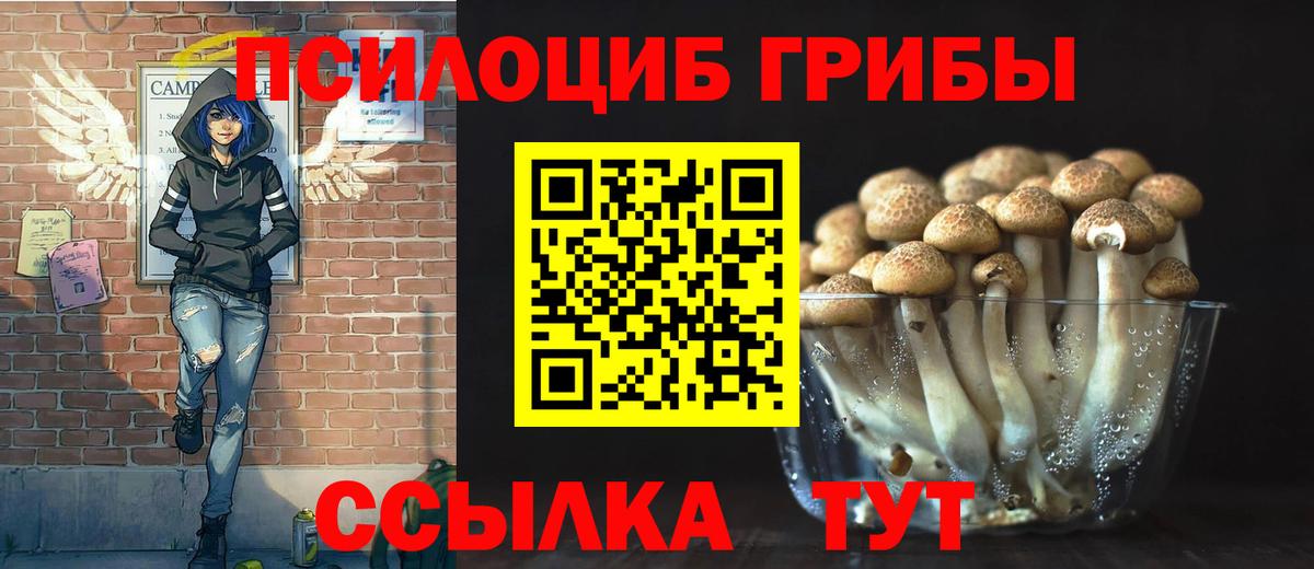 Ялта  Галлюциногенные грибы Psilocybe  Псилоцибиновые грибы Psilocybe  Вход с VPN 